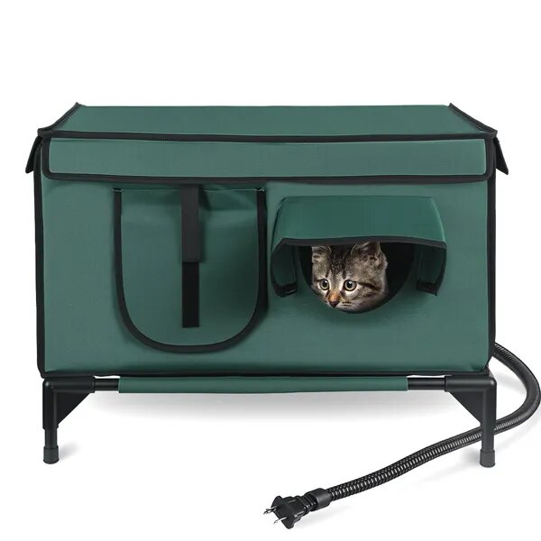 Green raised heated outdoor cat house with two doors, a mesh window and a cat inside