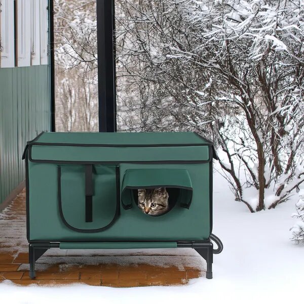 Raised heated outdoor cat house standing in snow with a cat inside