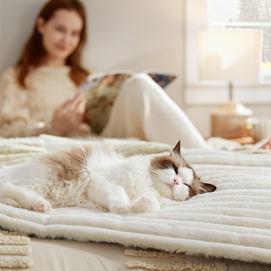 Cat asleep on a soft self-warming mat on a bed